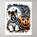 Zoek naar akita hond posters Puppy