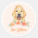 Zoek naar golden retriever stickers Verjaardag