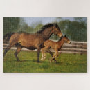 Zoek naar veulen geschenken Merrie