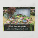 Zoek naar borsten briefkaarten Elk persoon