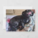 Zoek naar tong briefkaarten Fotografie