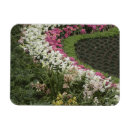 Zoek naar macro magneten Tuin