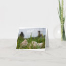 Zoek naar holland kaarten Grappig