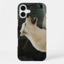 Zoek naar witte wolf iphone hoesjes Wolven