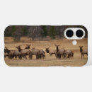 Zoek naar rocky mountain iphone hoesjes Dier