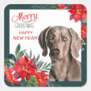 Zoek naar weimaraners stickers Waterverf