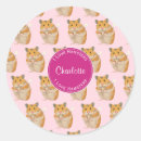 Zoek naar hamsters stickers Schattige hamster