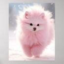 Zoek naar pomeranian kunst Puppies