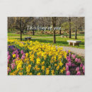 Zoek naar hyacint briefkaarten Paars