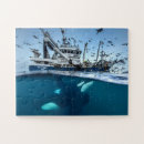 Zoek naar orka puzzels Oceaan