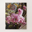 Zoek naar cherry blossom puzzels Bloem