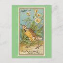 Zoek naar weide briefkaarten Vogels