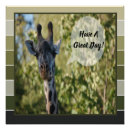 Zoek naar girafe posters Schattig