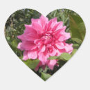 Zoek naar gronden stickers Liefde