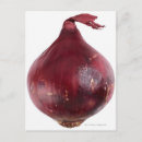Zoek naar rode uien posters Versheid