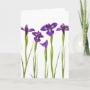 Zoek naar irissen kaarten Groen