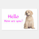 Zoek naar labrador puppy stickers Retriever