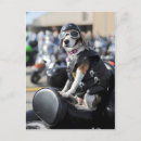 Zoek naar beagle humor briefkaarten Hond