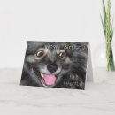 Zoek naar keeshond verjaardagskaarten Voor iedereen