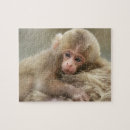 Zoek naar monkey puzzels Makaak