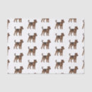 Zoek naar yorkshire terrier tissue papier Huisdier