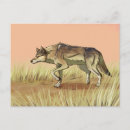 Zoek naar jachten briefkaarten Zonsopgang