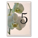 Zoek naar orchideeën tafelkaarten Floreel