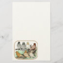 Zoek naar duif briefpapier Vogel