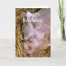 Zoek naar varkens kaarten Dieren