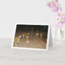 Zoek naar goede nacht posters Verjaardag