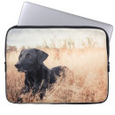 Zoek naar honden laptop sleeves Zwarte labrador