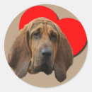 Zoek naar bloedhond stickers Voor iedereen