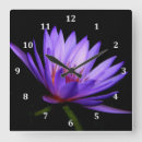 Zoek naar paarse bloemen klokken Foto