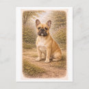 Zoek naar franse bulldog briefkaarten Antiek