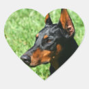 Zoek naar valentijn stickers Dag