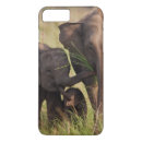 Zoek naar indische olifant iphone hoesjes Aziatisch