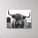 Zoek naar stier kunst Portret