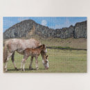 Zoek naar veulen puzzels Boerderij