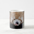 Zoek naar rode panda mokken Dier