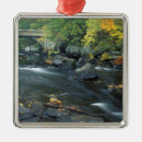 Zoek naar hampshire ornamente New england