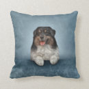 Zoek naar australian shepherd kussens Puppy