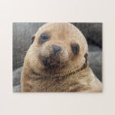 Zoek naar bont puzzels Close up