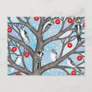 Zoek naar spechten briefkaarten Boom