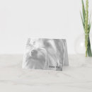 Zoek naar huisdieren zorg kaarten Hond