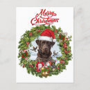 Zoek naar chocolade labrador retriever briefkaarten Laboratorium