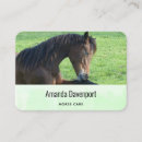 Zoek naar equine visitekaartjes Bruin paard