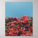 Zoek naar vintage flower posters Fotografie
