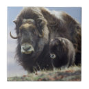 Zoek naar kalf tegels Wild