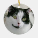 Zoek naar witte kat ornamenten Elk persoon