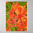 Zoek naar bougainvillea posters Waterverf